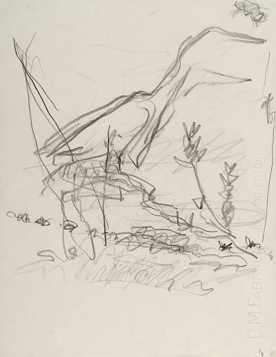 Robert Hainard - Héron cendré en pêche (croquis) - Copyright Fondation Hainard