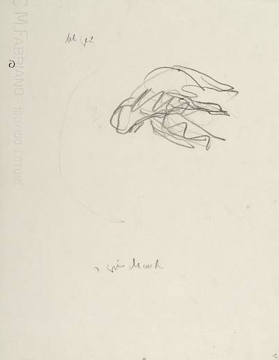 Robert Hainard - Canard freinant et Mars (croquis) - Copyright Fondation Hainard