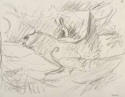 Robert Hainard - Grand coq furieux (croquis) - Copyright Fondation Hainard