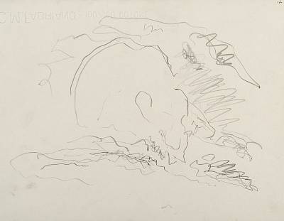 Robert Hainard - Ours buvant (croquis) - Copyright Fondation Hainard