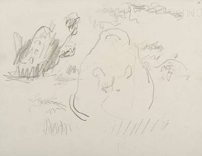 Robert Hainard - L'ours en face (croquis) - Copyright Fondation Hainard