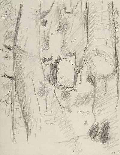 Robert Hainard - Jeune hulotte dans la forêt vierge (croquis) - Copyright Fondation Hainard