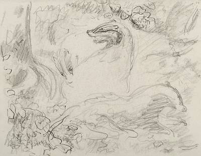 Robert Hainard - blaireaux par une chaude soirée (croquis) - Copyright Fondation Hainard