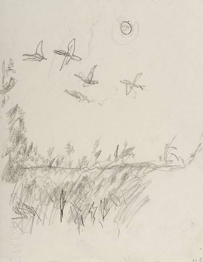 Robert Hainard - Cinq canards et la lune (croquis) - Copyright Fondation Hainard