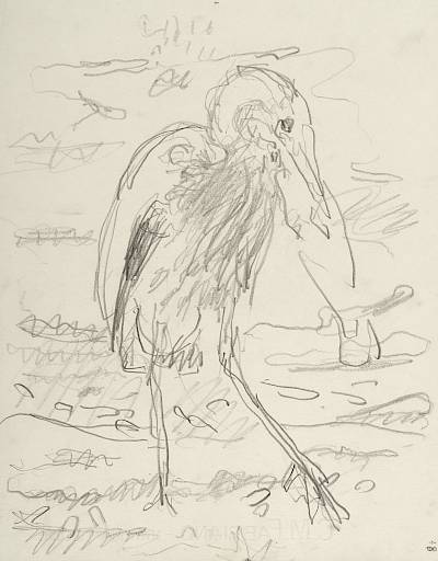 Robert Hainard - Héron avalant une carpe (croquis) - Copyright Fondation Hainard