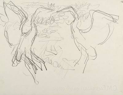Robert Hainard - Affrontement de hérons (croquis) - Copyright Fondation Hainard