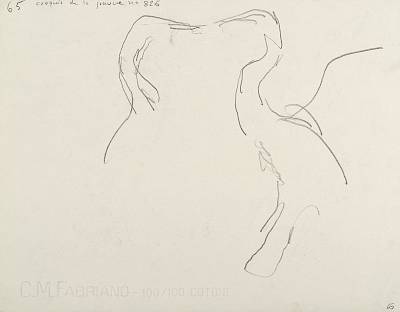 verso - Copyright Fondation Hainard