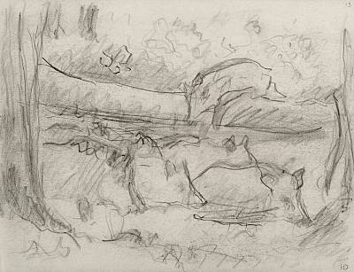 Robert Hainard - Sangliers à la souille II, Le Grand Souillard (croquis) - Copyright Fondation Hainard