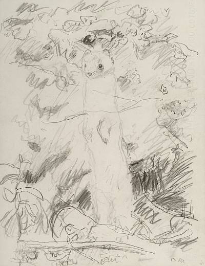 Robert Hainard - Hermine blanche (croquis) - Copyright Fondation Hainard
