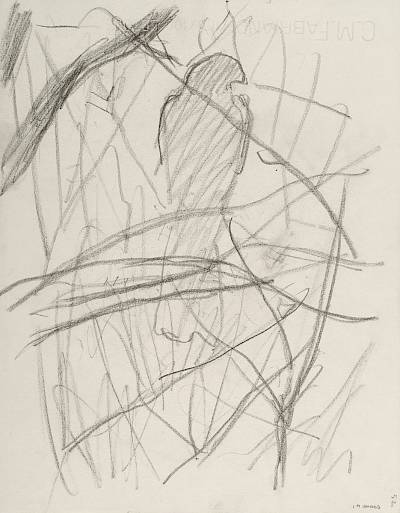 Robert Hainard - L'épervier à l'aube (croquis) - Copyright Fondation Hainard