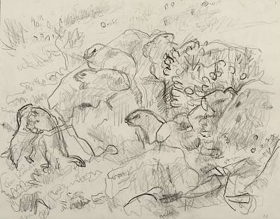 Robert Hainard - Tribu de marmottes au bois-gentil (croquis) - Copyright Fondation Hainard