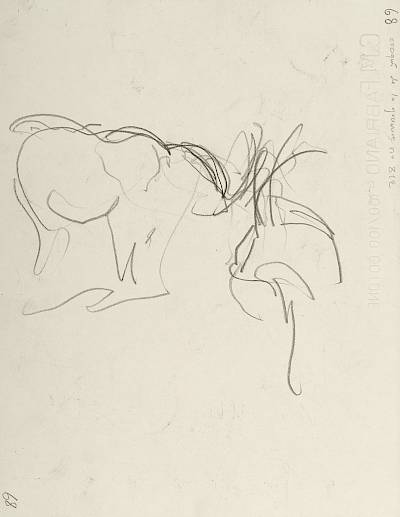 verso - Copyright Fondation Hainard
