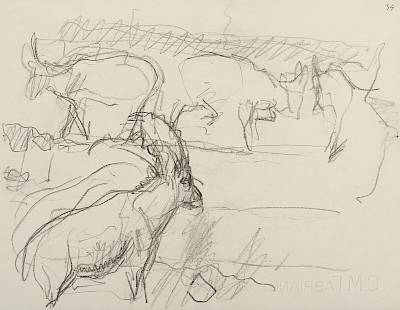 Robert Hainard - Bouquetins sur une vire (croquis) - Copyright Fondation Hainard