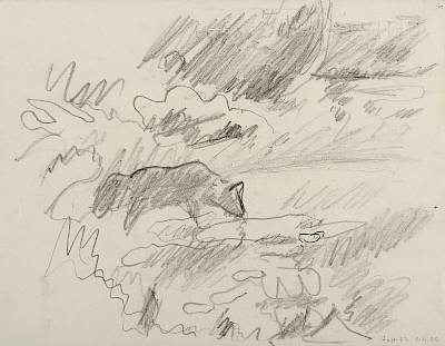 Robert Hainard - Le loup boit à la flaque (croquis) - Copyright Fondation Hainard