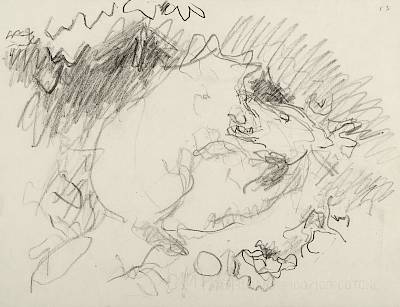 Robert Hainard - Deux renardeaux jouant à l'entrée du terrier (croquis) - Copyright Fondation Hainard