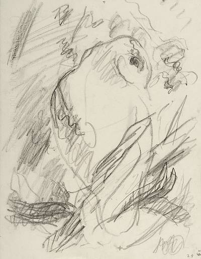 Robert Hainard - Hulotte au crépuscule, tête de profil (croquis) - Copyright Fondation Hainard