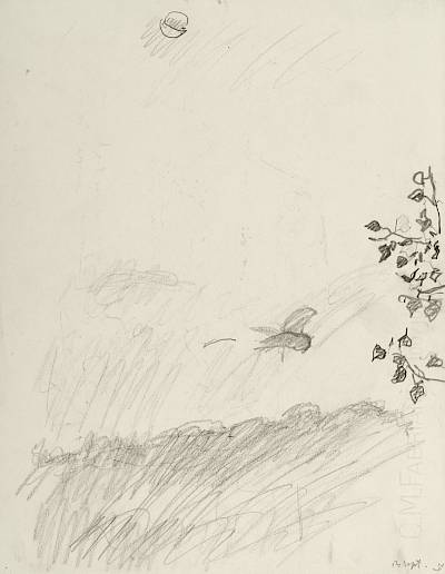Robert Hainard - La hulotte va se coucher (croquis) - Copyright Fondation Hainard
