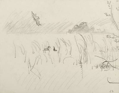 Robert Hainard - La dernière chauve-souris à l'aube (croquis) - Copyright Fondation Hainard