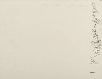 Robert Hainard - La dernière chauve-souris à l'aube (croquis) - Copyright Fondation Hainard