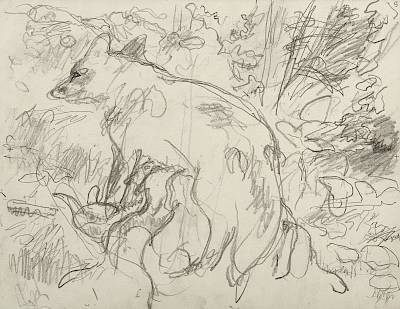 Robert Hainard - Renarde allaitant vue par derrière (croquis) - Copyright Fondation Hainard
