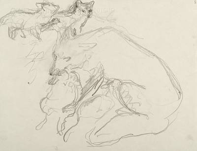 Robert Hainard - Renarde et cinq renardeaux (croquis) - Copyright Fondation Hainard