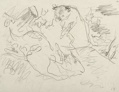 Robert Hainard - Jeux de renardeaux (croquis) - Copyright Fondation Hainard
