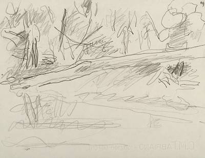 Robert Hainard - Deux castors (croquis) - Copyright Fondation Hainard