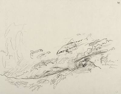 Robert Hainard - Goujons et deux vairons (croquis) - Copyright Fondation Hainard