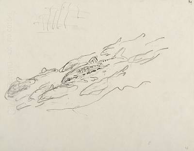 Robert Hainard - Goujons et deux vairons (croquis) - Copyright Fondation Hainard