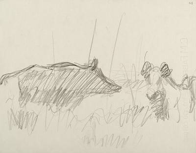 Robert Hainard - Sangliers, clair de lune et brouillard (croquis) - Copyright Fondation Hainard
