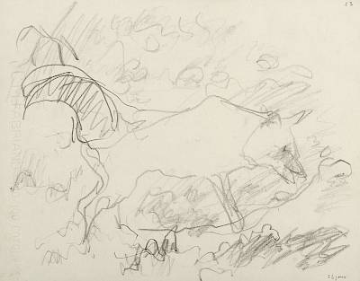 Robert Hainard - Renard jappant devant le terrier (croquis) - Copyright Fondation Hainard