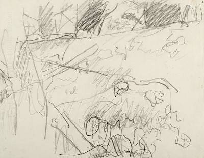 Robert Hainard - Renarde glapissant (croquis) - Copyright Fondation Hainard