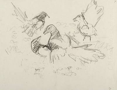 Robert Hainard - Dispute de pies (croquis) - Copyright Fondation Hainard