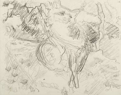 Robert Hainard - La renarde pleine se gratte (croquis) - Copyright Fondation Hainard