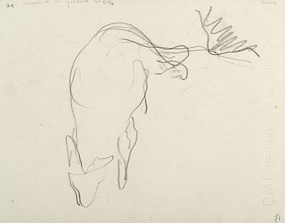 verso - Copyright Fondation Hainard