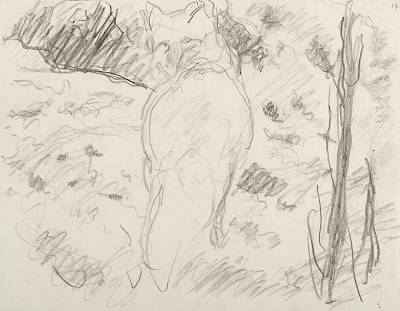 Robert Hainard - La renarde pleine va faire un tour au soleil (croquis) - Copyright Fondation Hainard