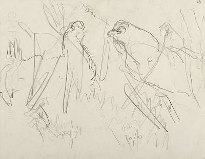 Robert Hainard - Affrontement de petits coqs (croquis) - Copyright Fondation Hainard
