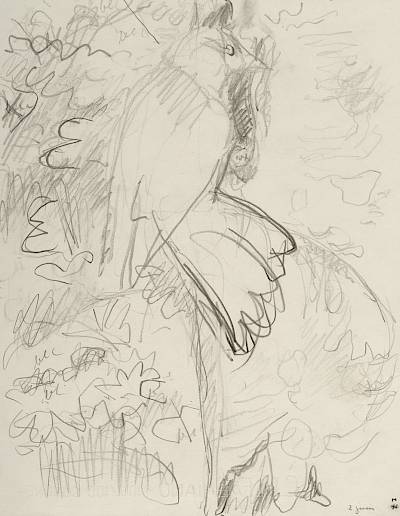 Robert Hainard - Choucas à son trou (croquis) - Copyright Fondation Hainard