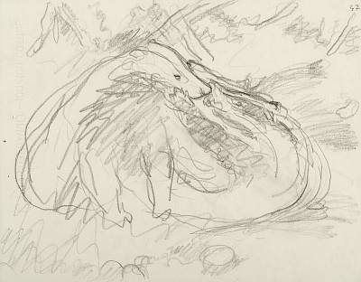 Robert Hainard - Blaireaux, père et fille (croquis) - Copyright Fondation Hainard