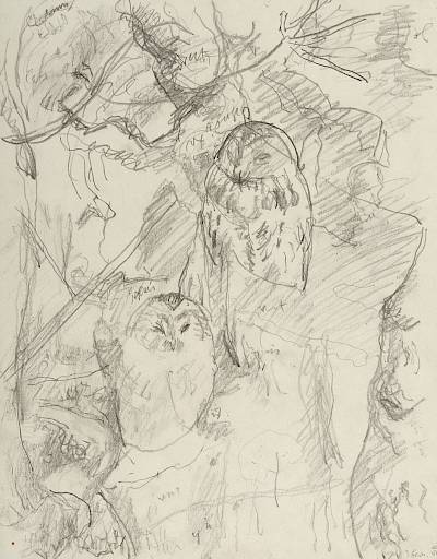 Robert Hainard - Couple de hulottes (croquis) - Copyright Fondation Hainard