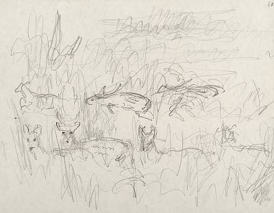 Robert Hainard - Cerfs axis (croquis) - Copyright Fondation Hainard
