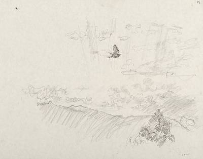 Robert Hainard - Ciel de couchant et héron cendré (croquis) - Copyright Fondation Hainard