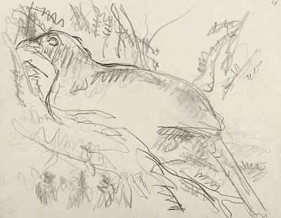 Robert Hainard - Nant des Crues, Genève (croquis) - Copyright Fondation Hainard