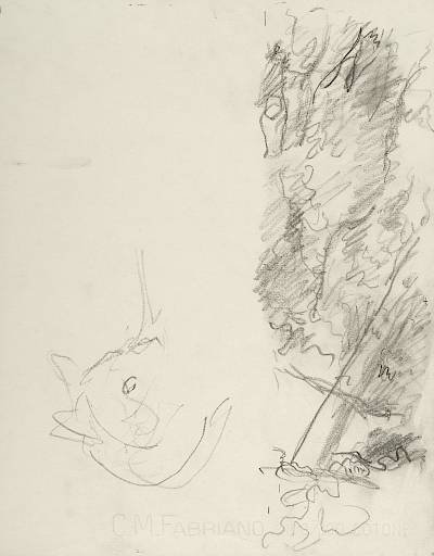 Robert Hainard - La belle renarde (croquis) - Copyright Fondation Hainard