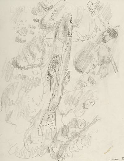 Robert Hainard - Ombre (croquis) - Copyright Fondation Hainard
