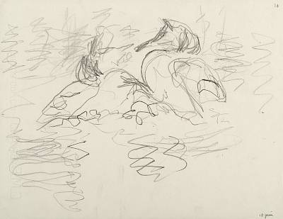 Robert Hainard - Dispute de grèbes huppés (croquis) - Copyright Fondation Hainard