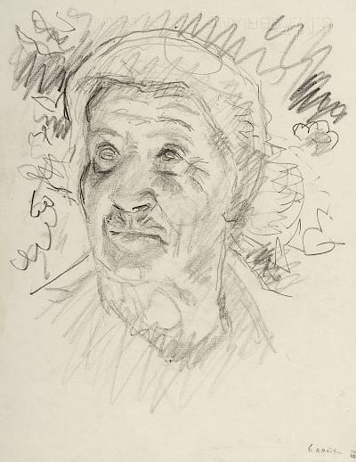 Robert Hainard - Rose (croquis) - Copyright Fondation Hainard