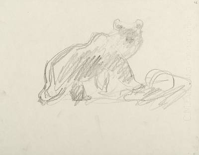 Robert Hainard - Ours au dernier quartier de la lune (croquis) - Copyright Fondation Hainard