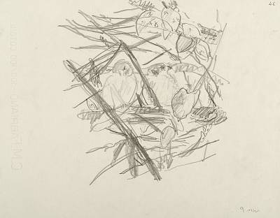 Robert Hainard - Couple de friquets (croquis) - Copyright Fondation Hainard