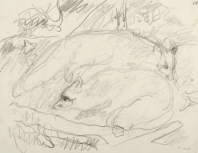 Robert Hainard - Deux renards devant le terrier (croquis) - Copyright Fondation Hainard